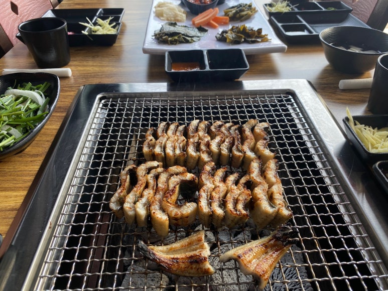 마초장어 이미지