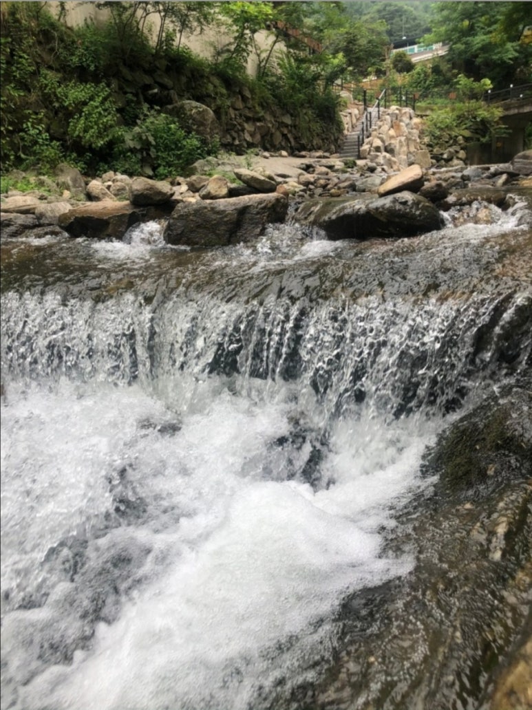 산닭백숙 이미지