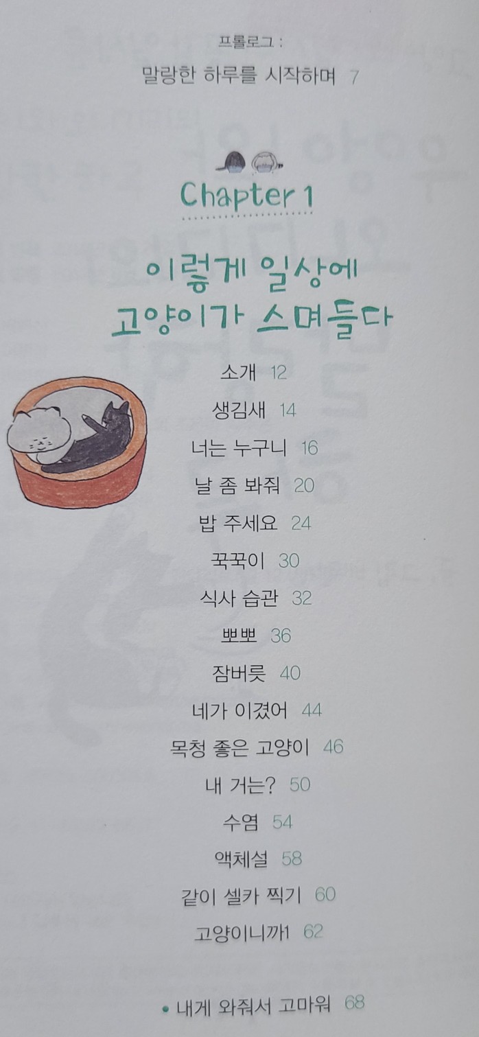 말랑한하루 이미지