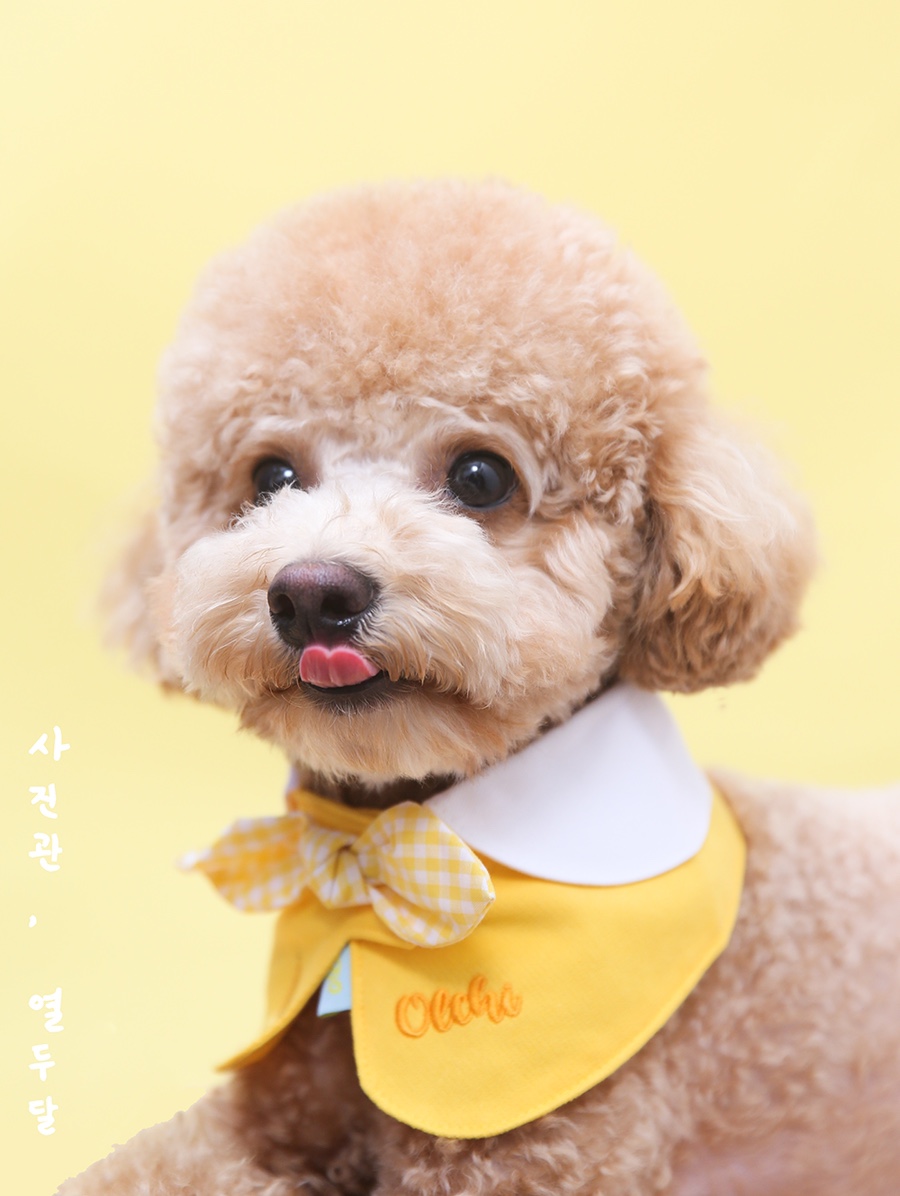 열두달사진관 이미지