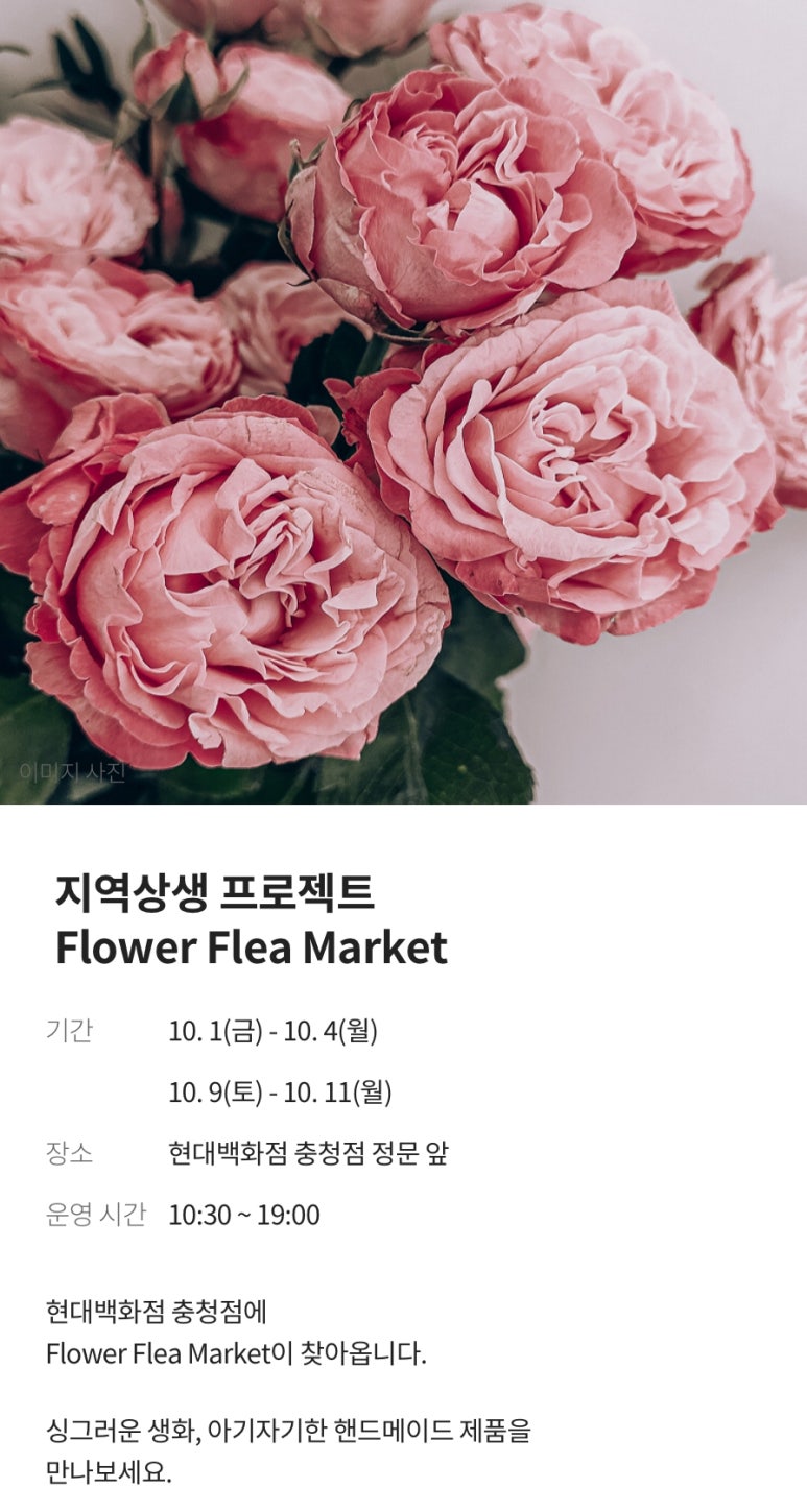 베즐리 충청점 이미지