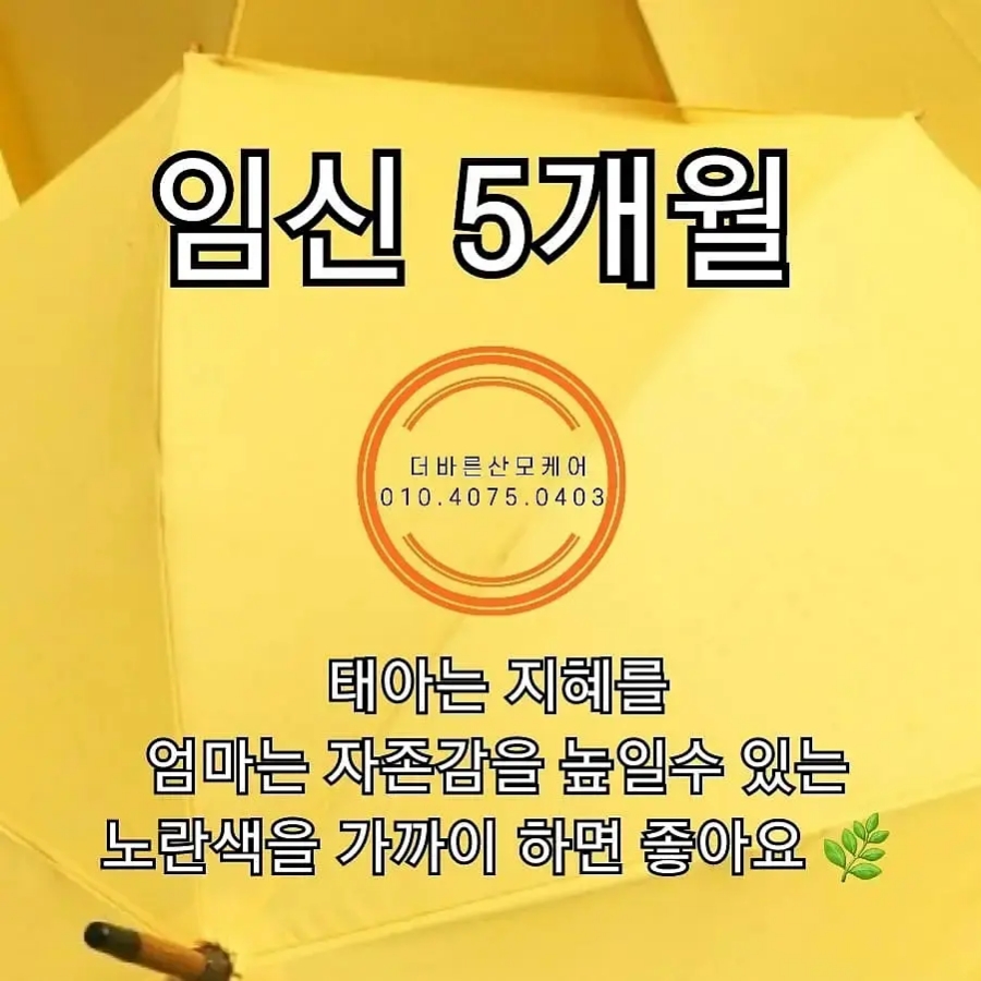 바른이테라피 이미지