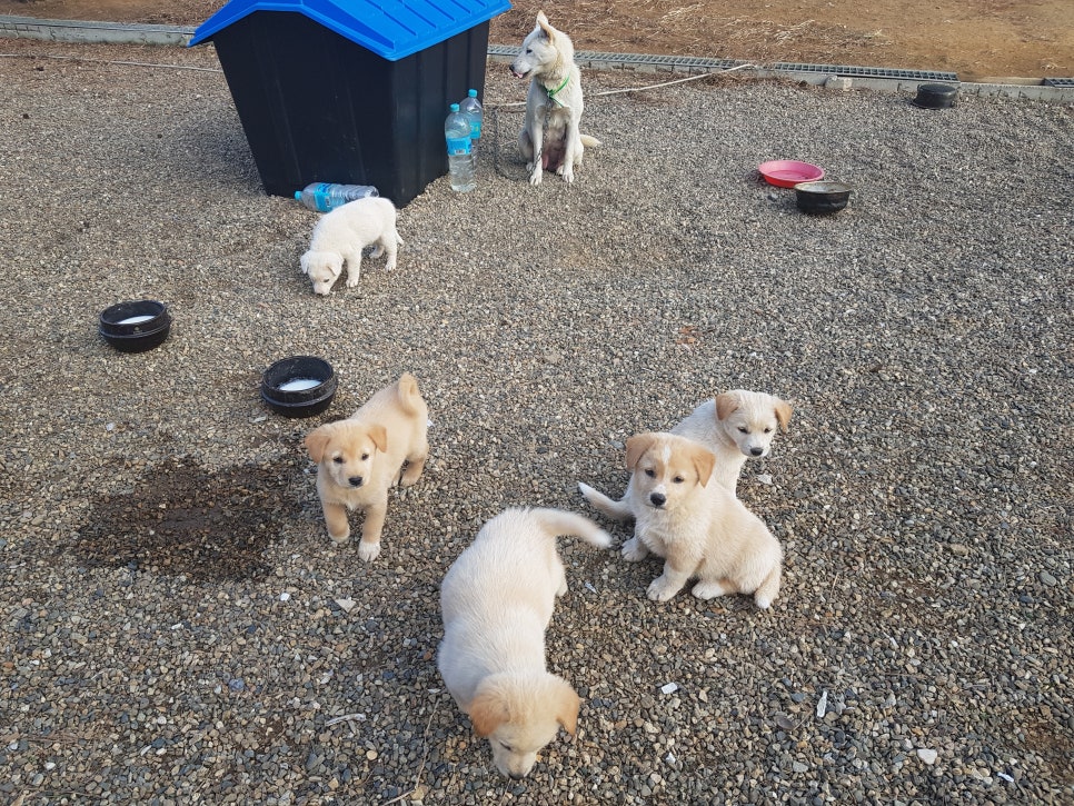 청정한우마을 이미지