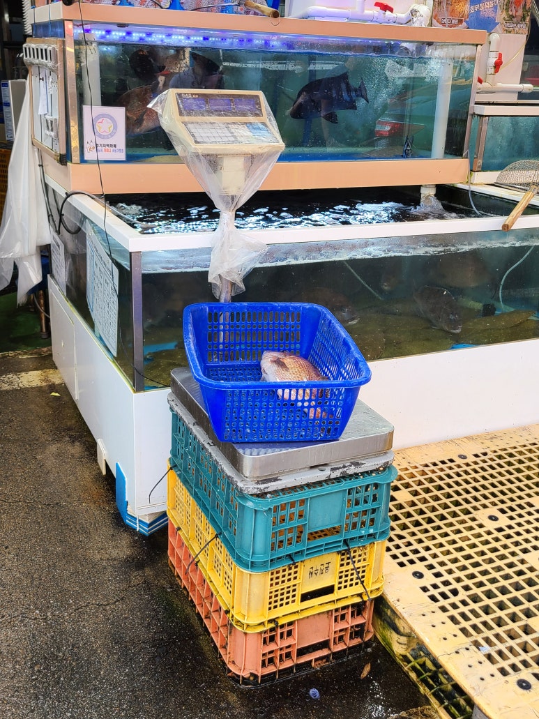 은성유통 이미지