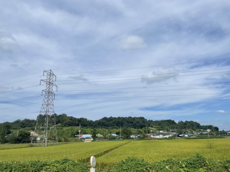 네네치킨 다정점 이미지