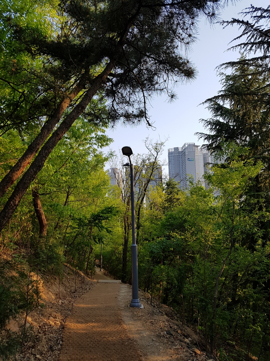 야시골공원 이미지