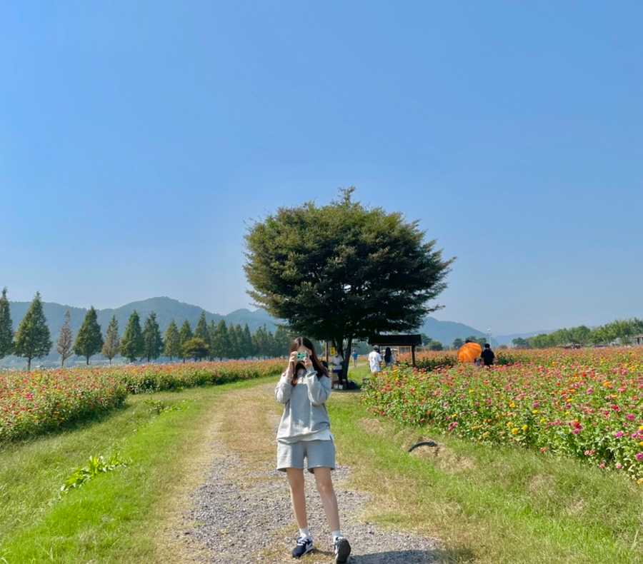 창녕별숲글램핑 이미지