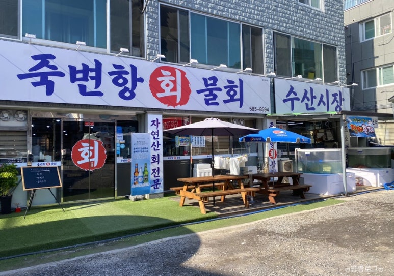 죽변항회물회 이미지