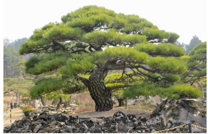 (주) 대명스테이션 이미지