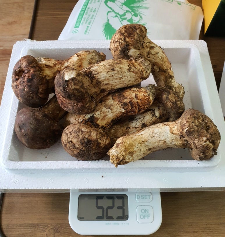 북강릉농업협동조합하나로마트 이미지