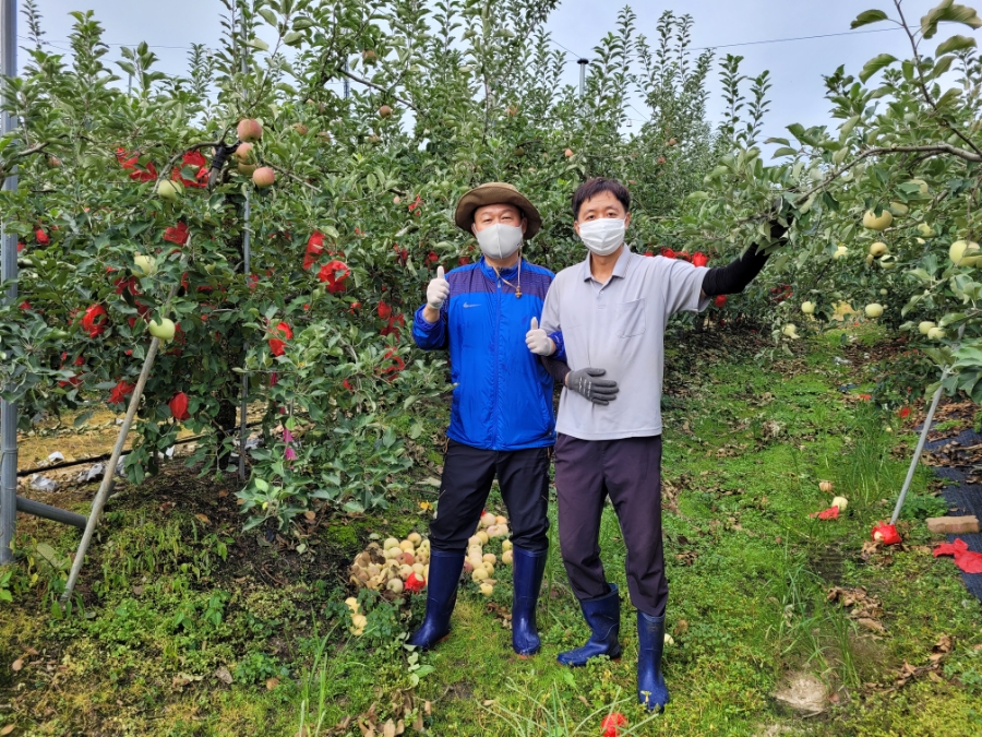 사과애농원 이미지