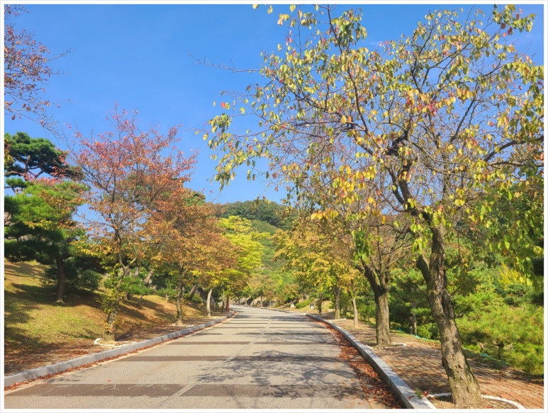 별;그리다 이미지