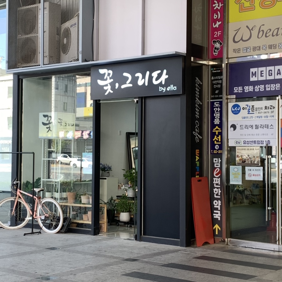 꽃그리다바이엘라 이미지