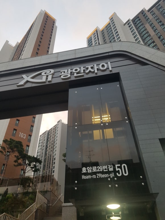 폰파는청년 이미지