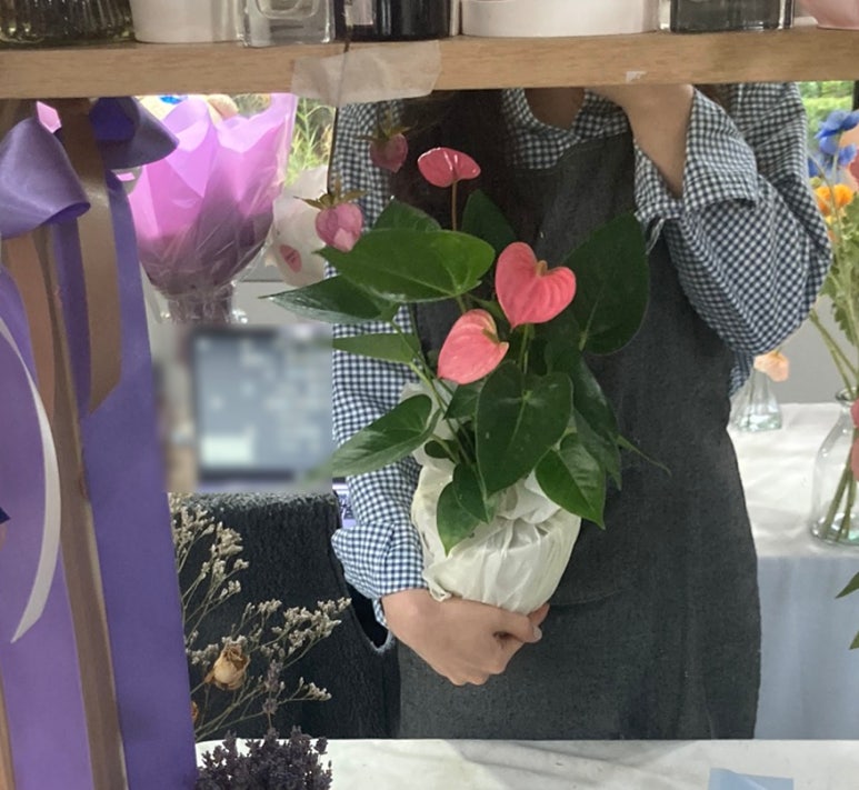 플레르가든스튜디오 이미지