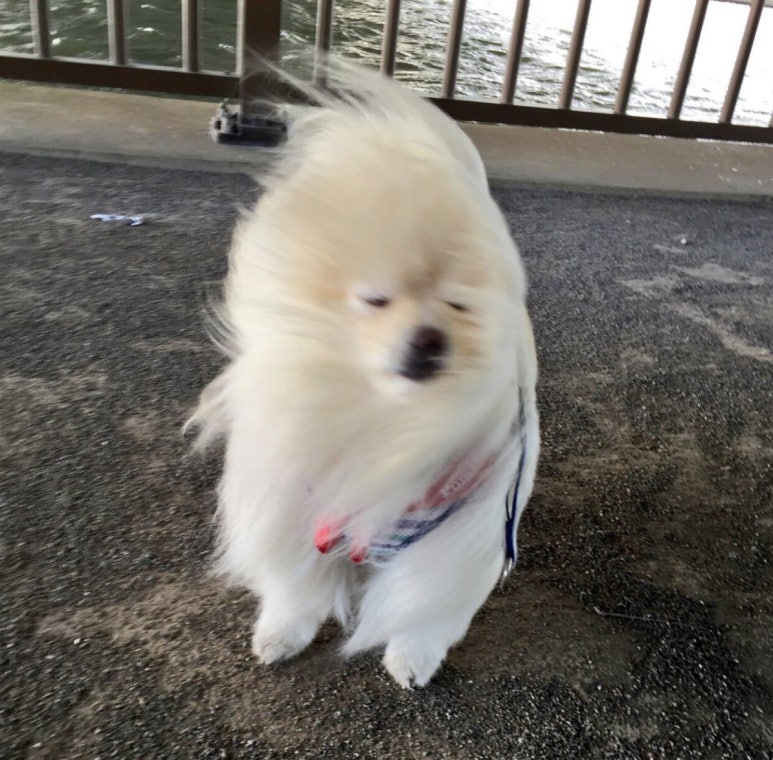 서울음악학원 이미지