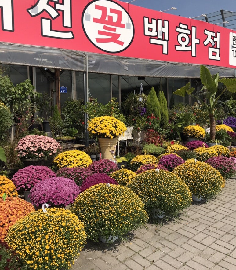 도우미꽃식물원 이미지