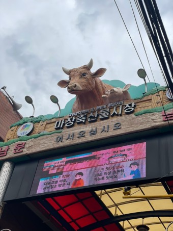 고기한점 이미지