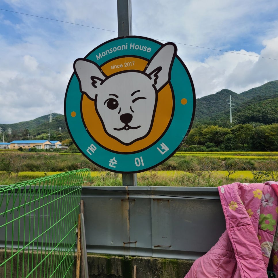 아이스홀릭 정관점 이미지