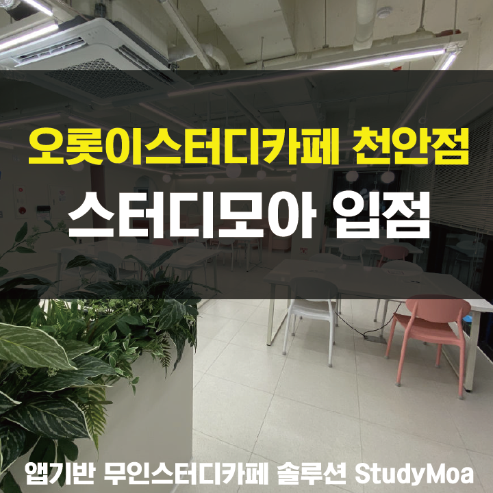이스터디카페 이미지