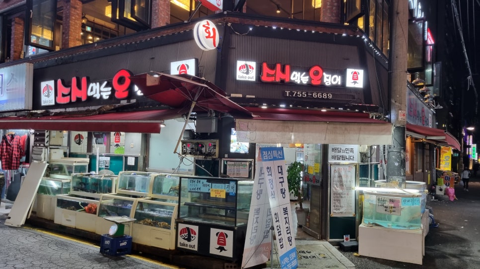 스시 먹는 오징어 이미지
