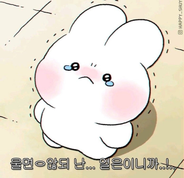 옷통 이미지