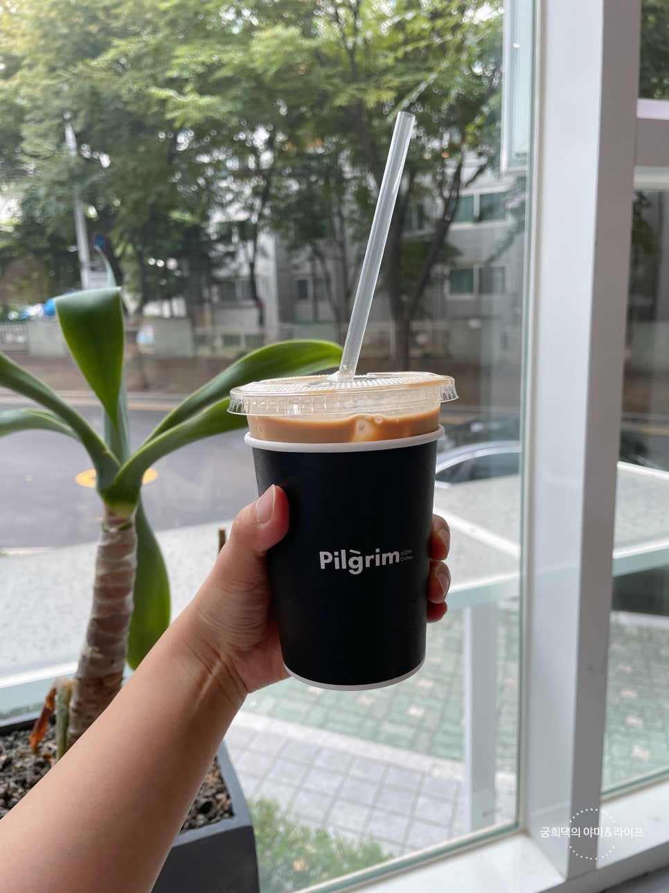 365푸드 이미지