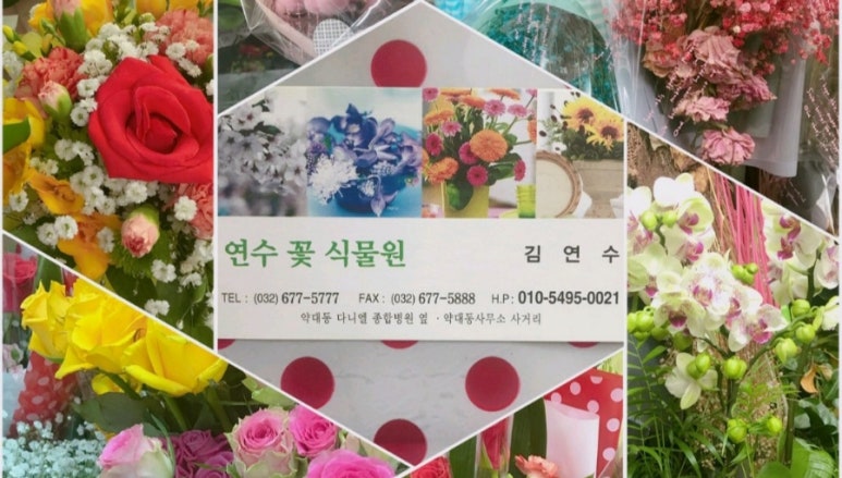 연수꽃식물원 이미지