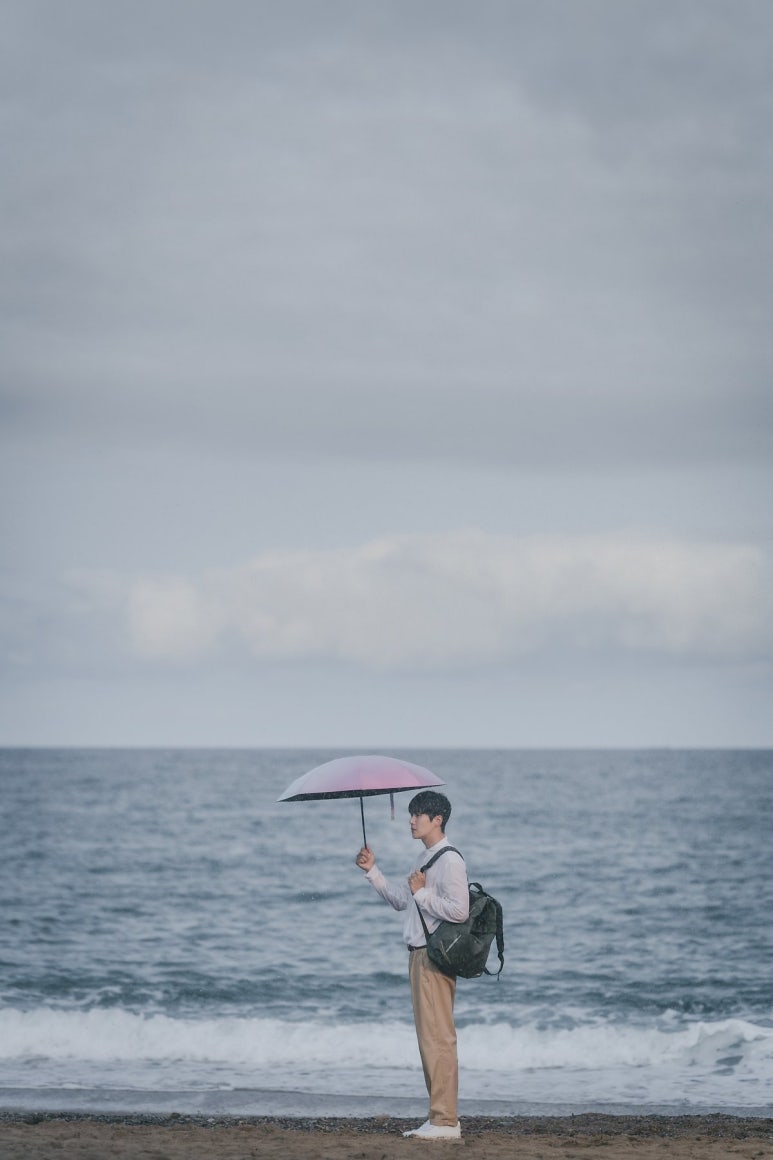 책돼지 이미지