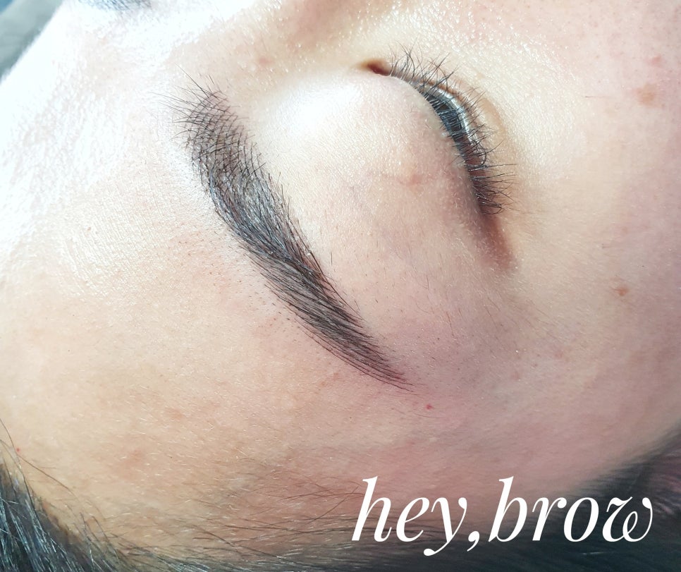헤이브로우 이미지