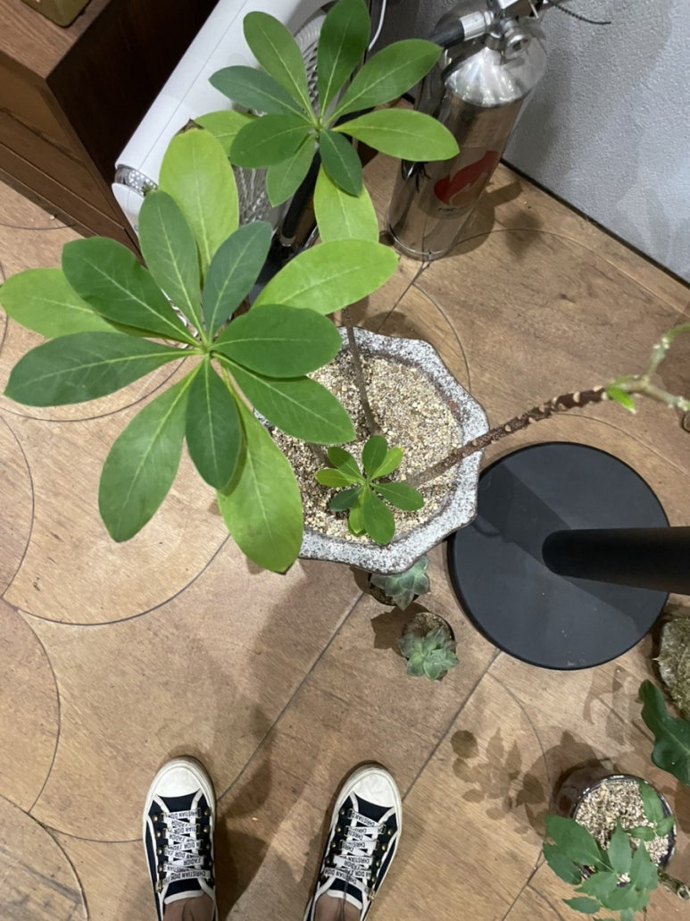 라일라일스튜디오 이미지