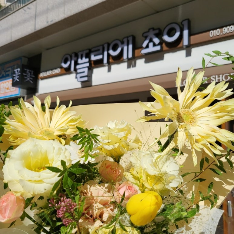 아뜰리에초이 이미지