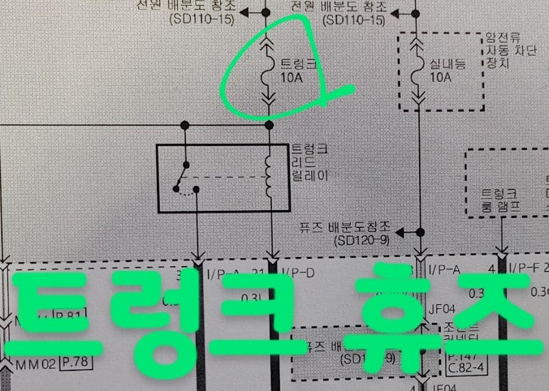 카데렐라 이미지