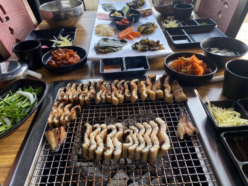 마초장어 이미지