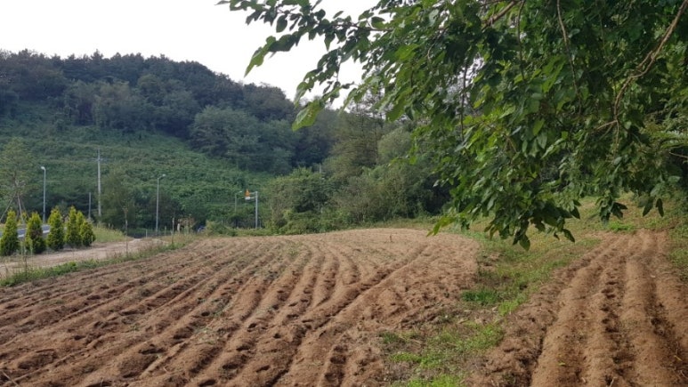 (주)자연농장 이미지