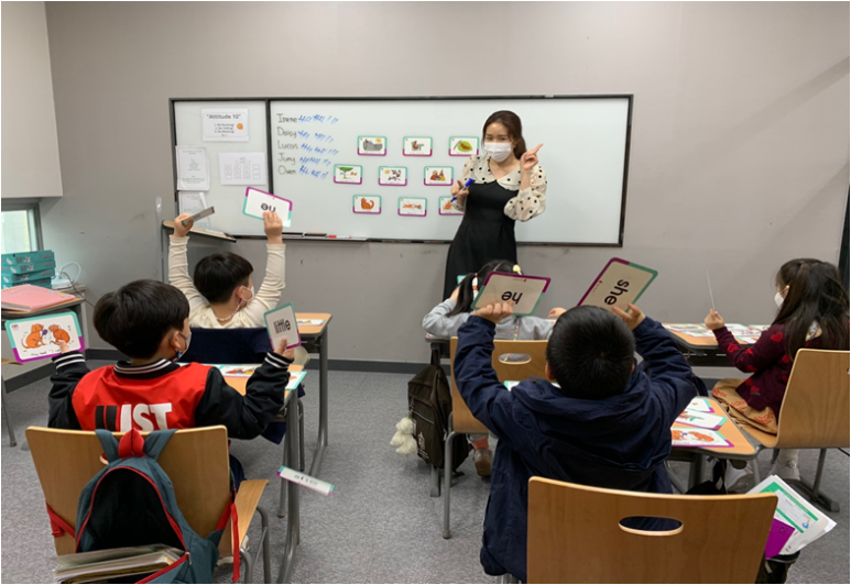 스타인터내셔널 이미지