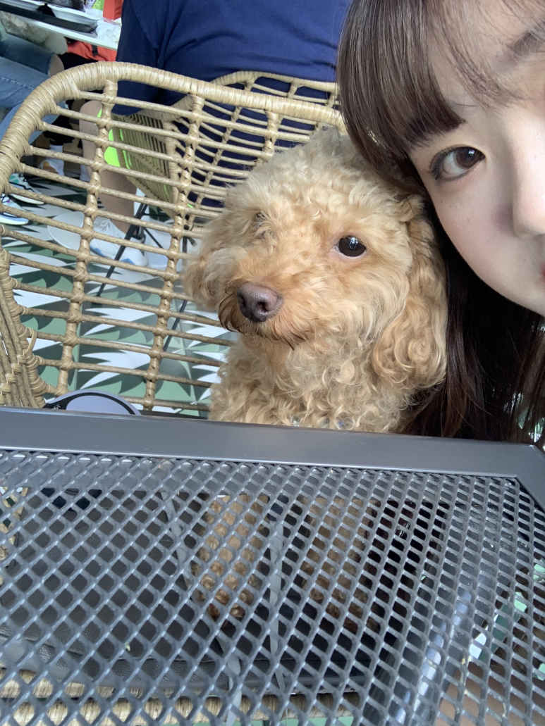 모나네일 이미지