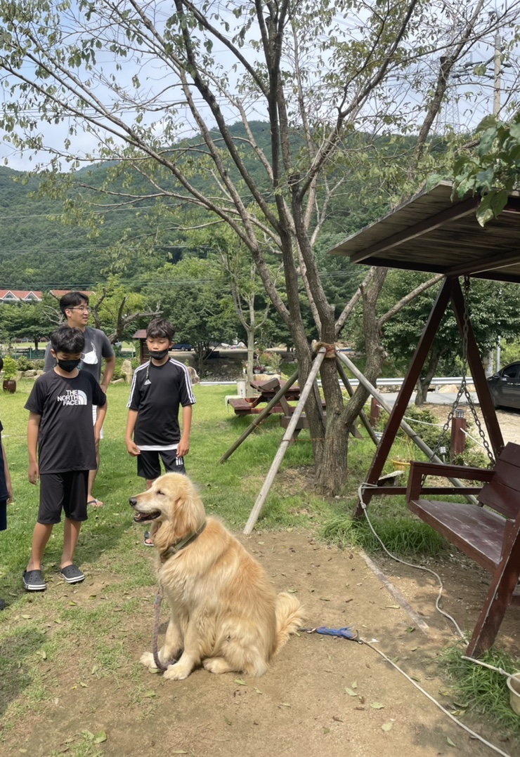 산내하이원펜션 이미지