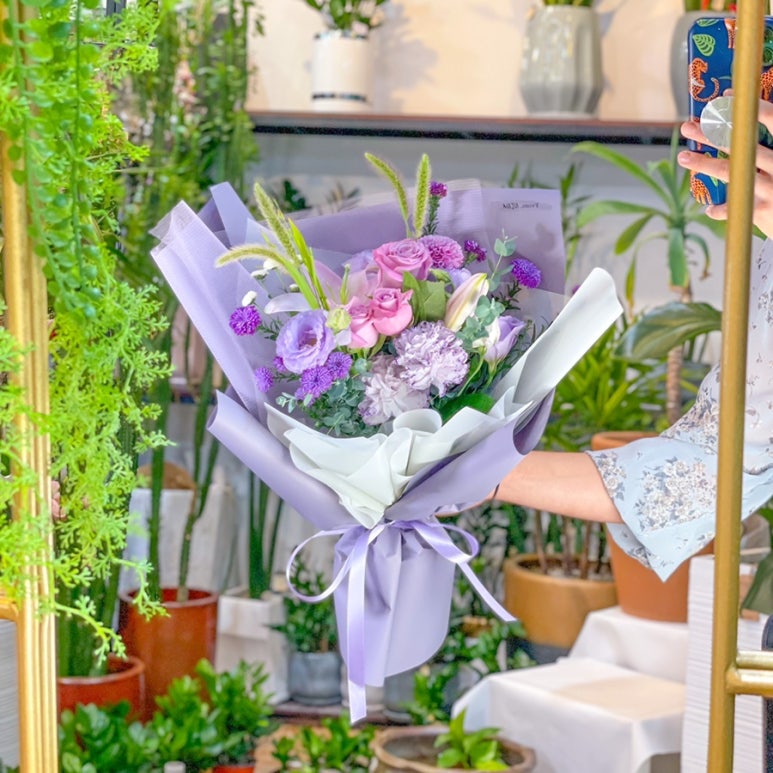 프롬니나 이미지