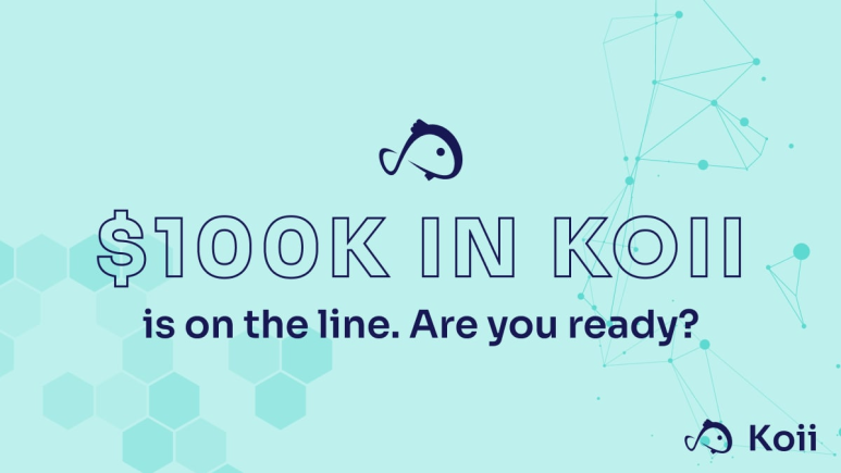 코이(koii) 이미지