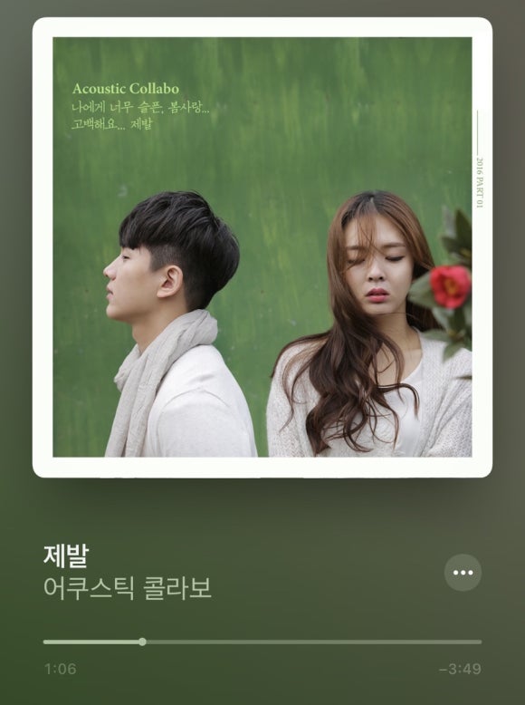 니나니나 이미지