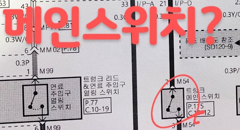 카데렐라 이미지