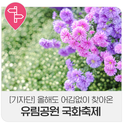 유림향 이미지