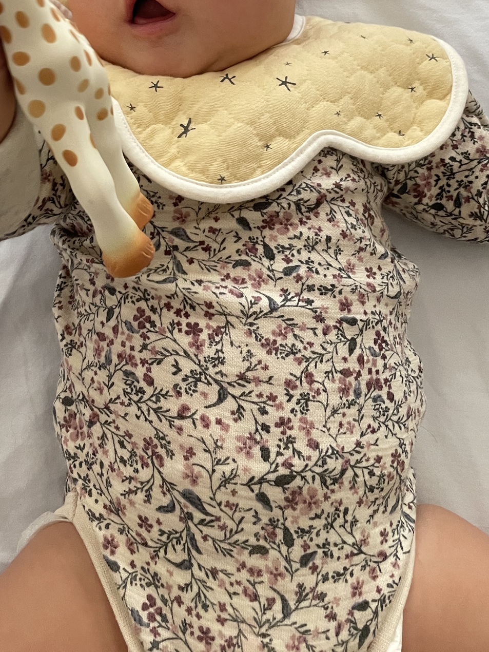 체리호프 이미지