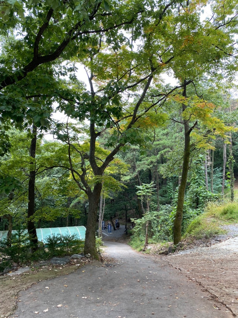 칠보사입구 이미지