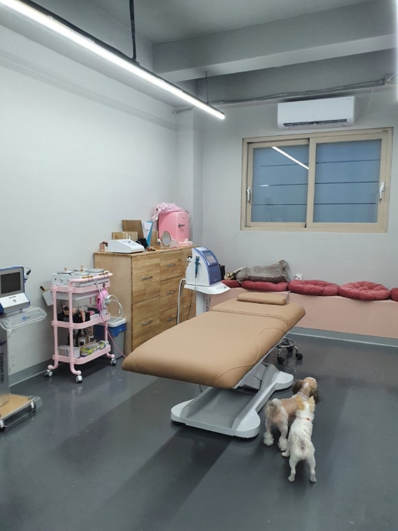 네일아띠 이미지