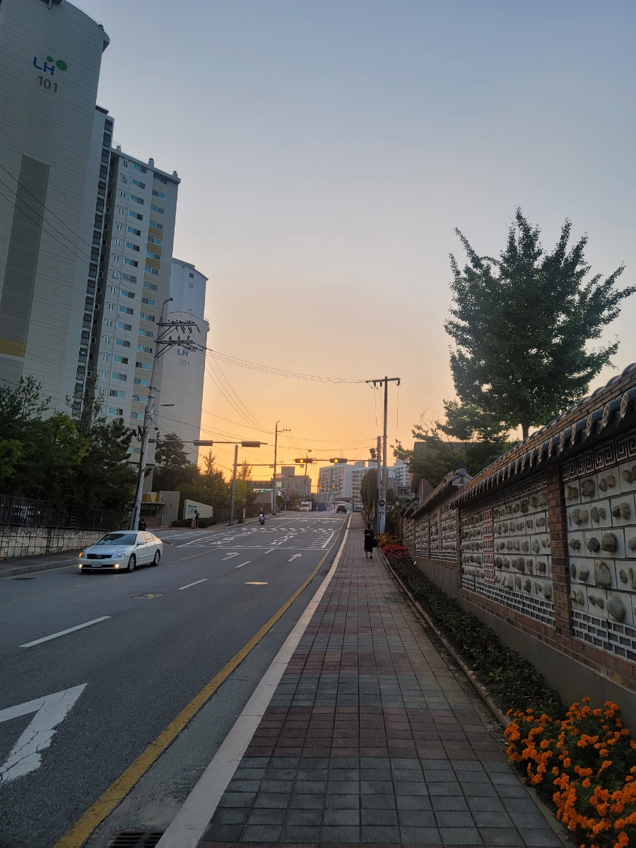 너구리포차 이미지