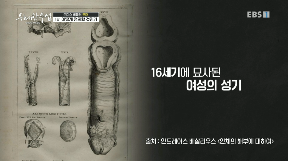 쥬디스1 이미지