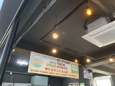 철없는 새우 이미지