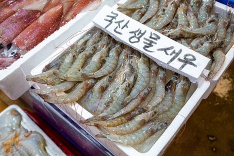가나수산 이미지
